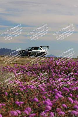 media/Jan-08-2023-SCCA SD (Sun) [[8f6a5b9391]]/Intermediate Group/Session 2 (Short Straight)/